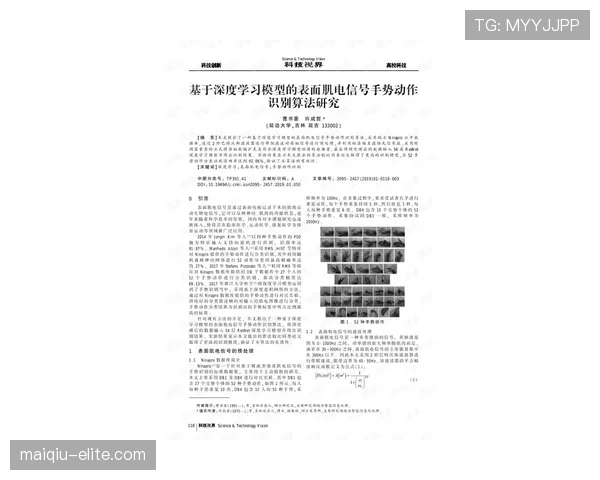 干扰球国际规则差异的具体条文深度解析 干扰球国际规则差异的具体条文深度解析