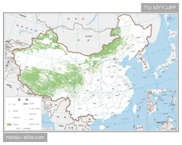 草坪场地规则拆解：比赛中草坪质量如何影响判罚标准？